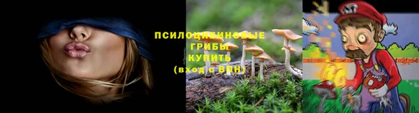 ALPHA PVP Арсеньев