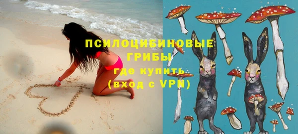 круглые Аркадак
