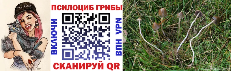 Псилоцибиновые грибы мухоморы  Иркутск 