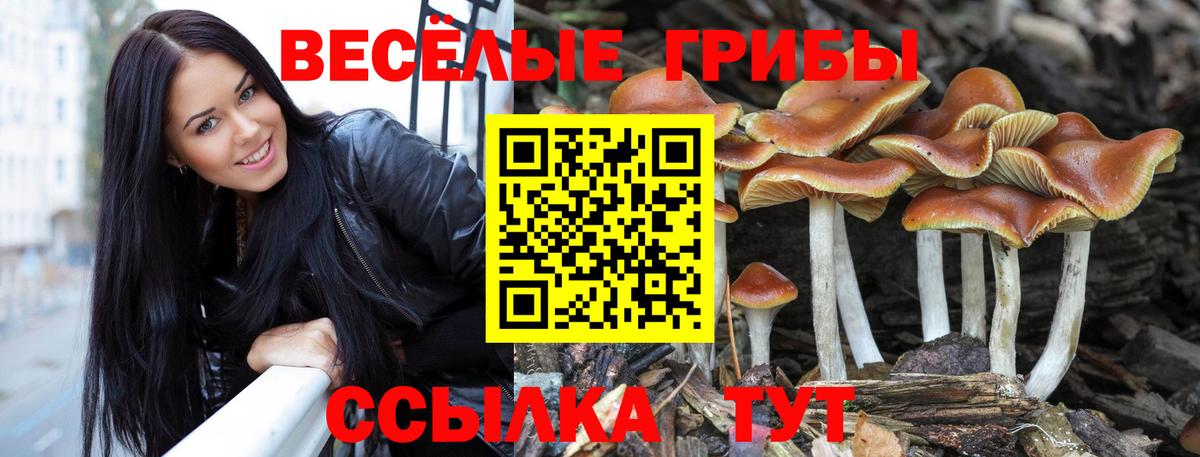 Галлюциногенные грибы Psilocybine cubensis  Псилоцибиновые грибы мухоморы  Иркутск  Вход с VPN 